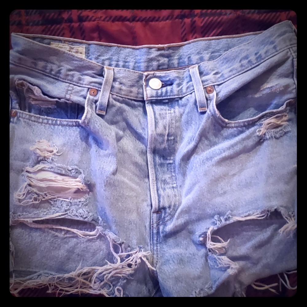 Levi's Premium Denim Shorts